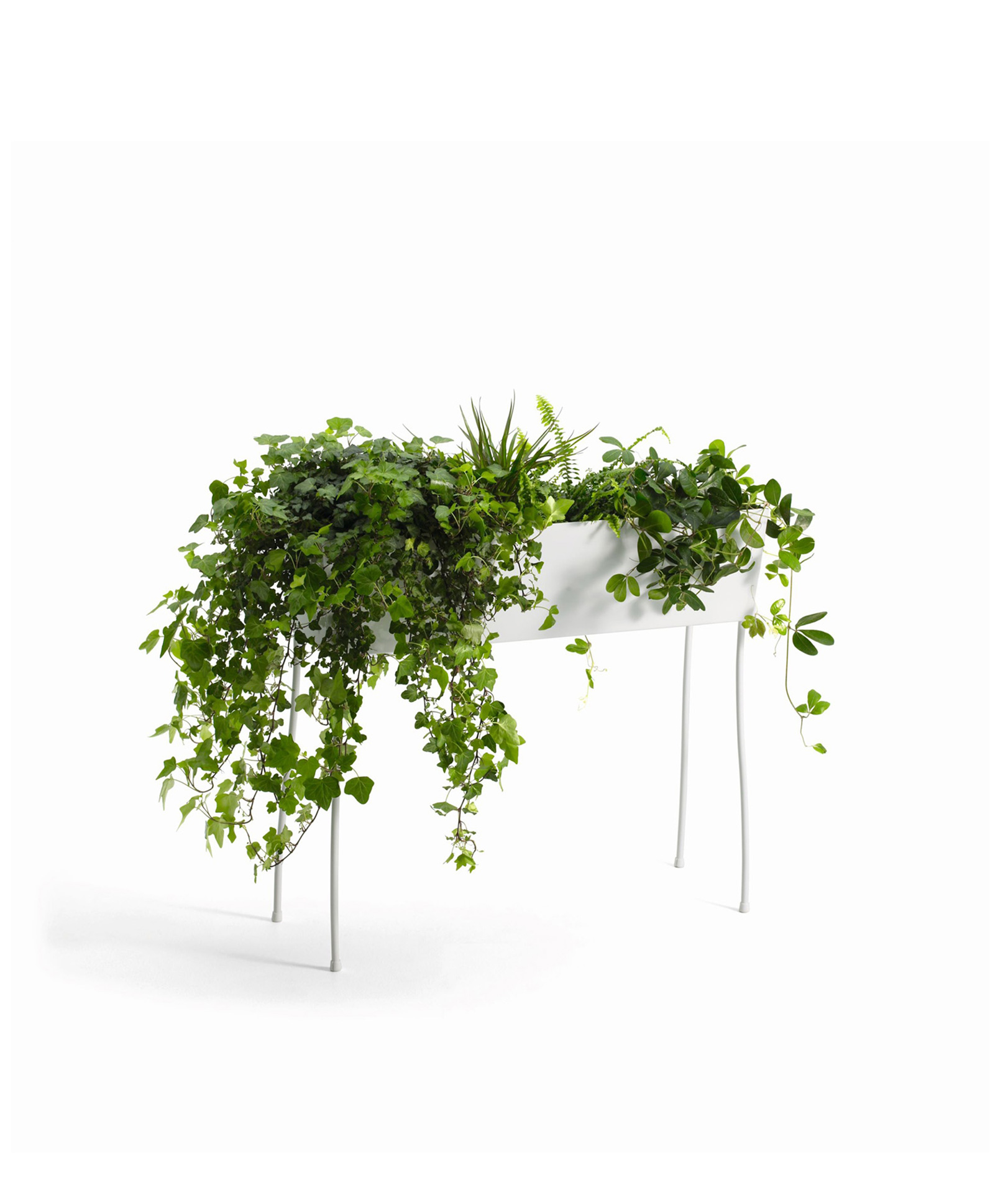 Offecct_product-types_accesories